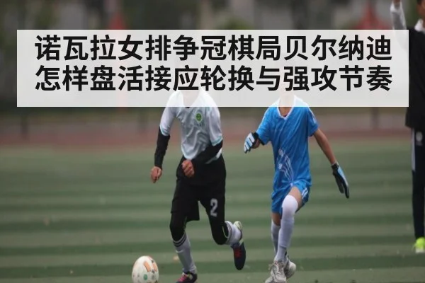 诺瓦拉女排争冠棋局贝尔纳迪怎样盘活接应轮换与强攻节奏 | kaiyun